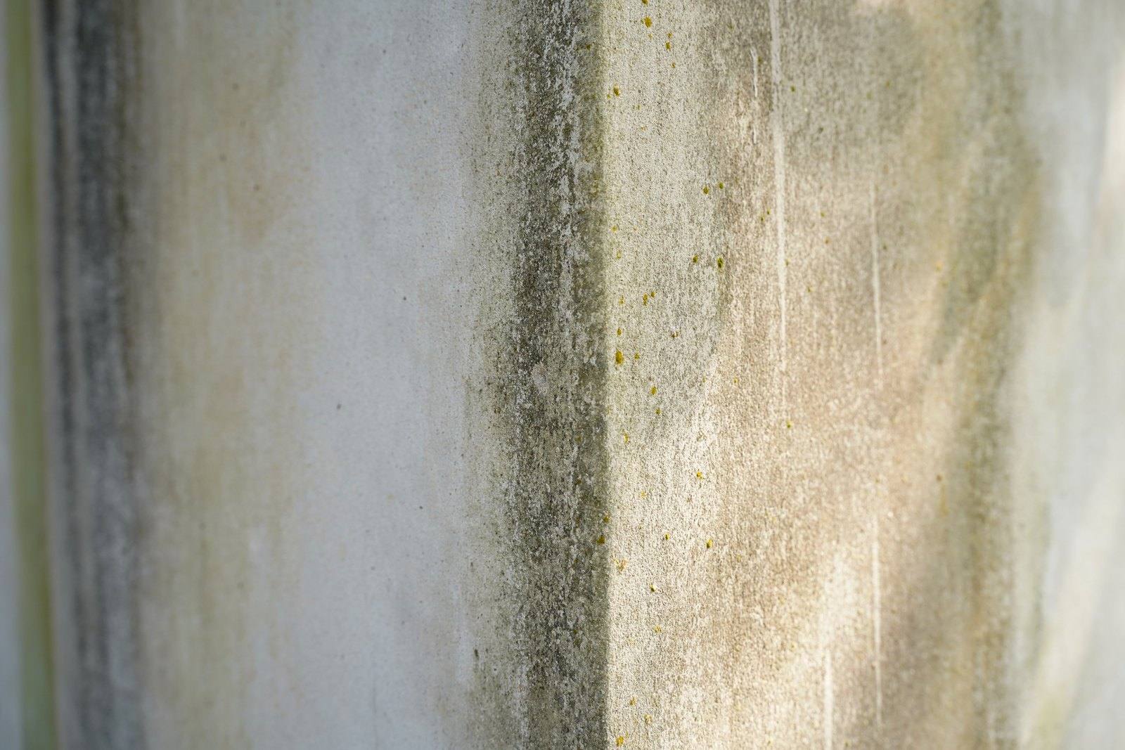 Dark mildew stains running down the corner of a concrete wall