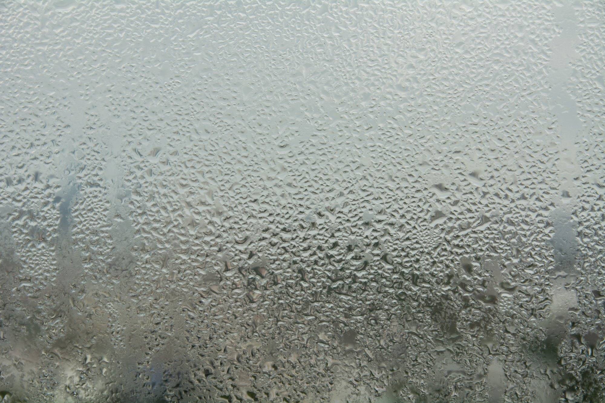 Condensation droplets covering the inside of a window pane